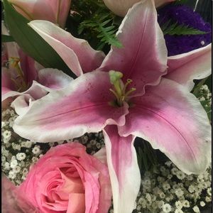 Meet your Posher, Elena